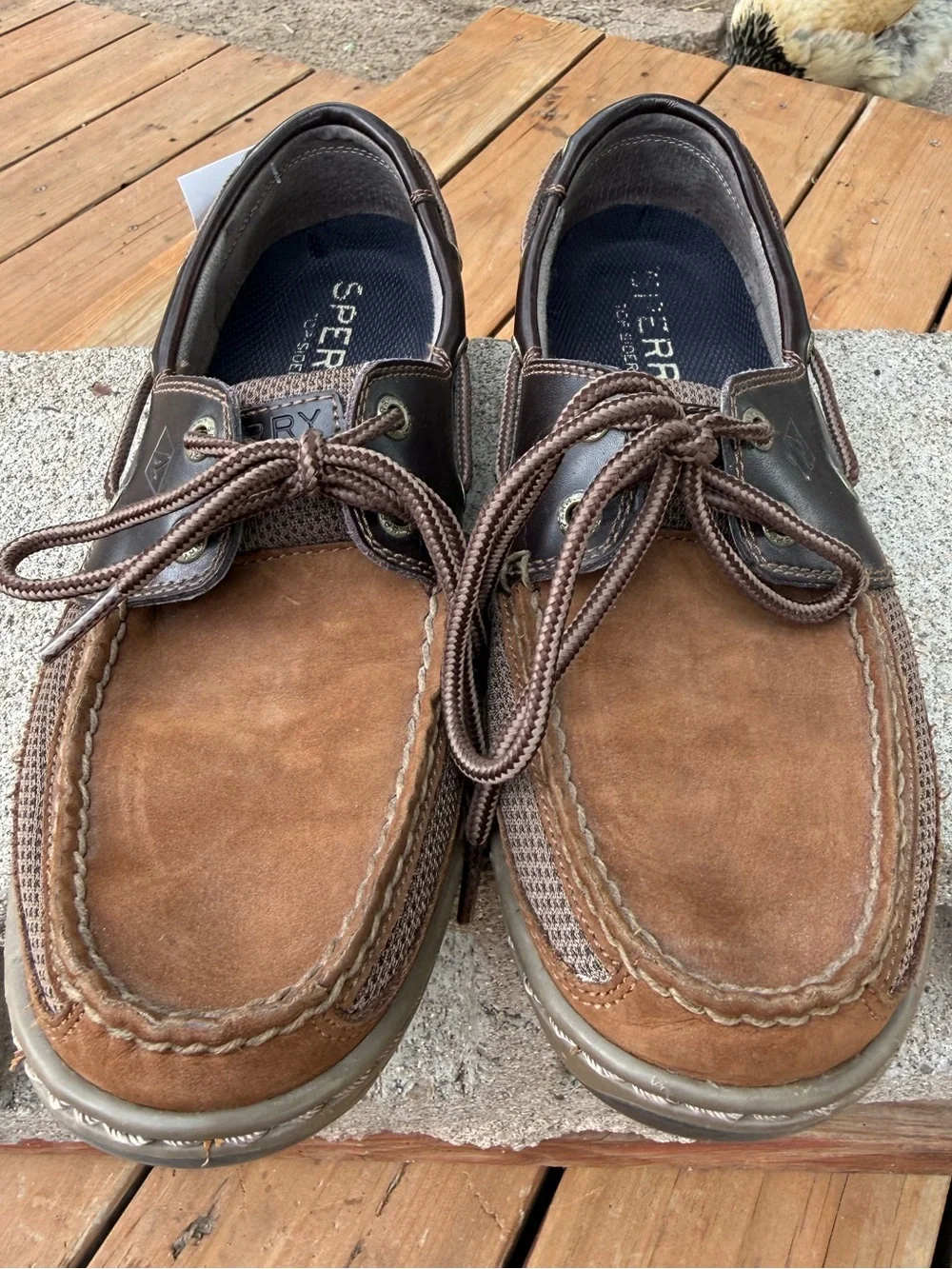 Sperry Men's Tarpon 2-Eye Boat Shoe in Brown/Buc Brown colorway